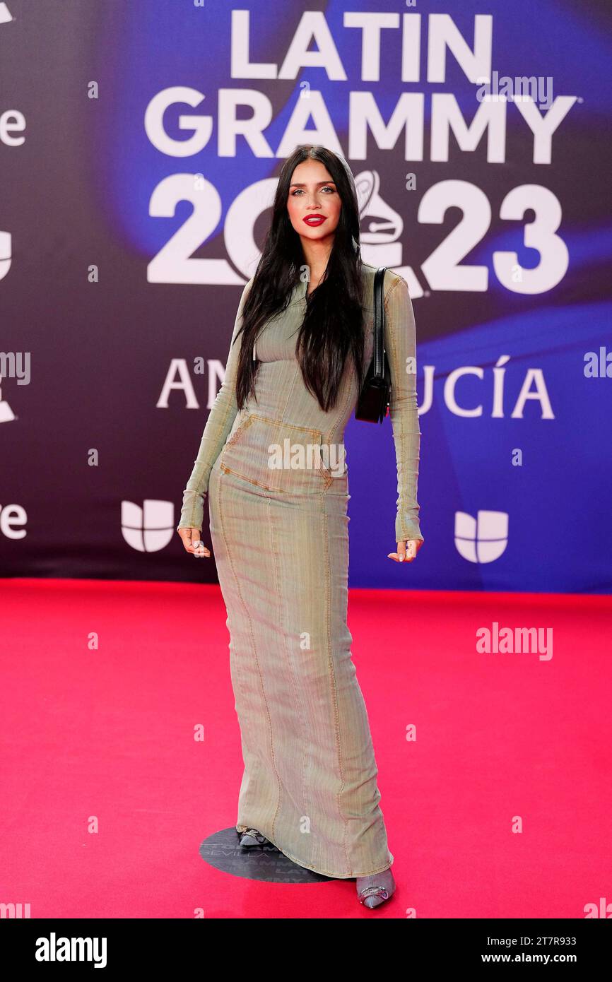 Seville, Spain. 17th Nov, 2023. Zaira Nara attends the red carpet