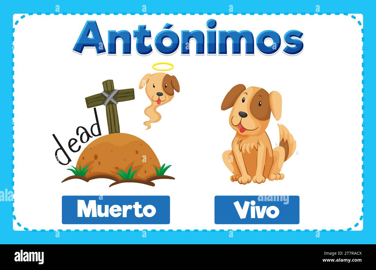 Illustrated word card in Spanish featuring antonyms Muerto and Vivo
