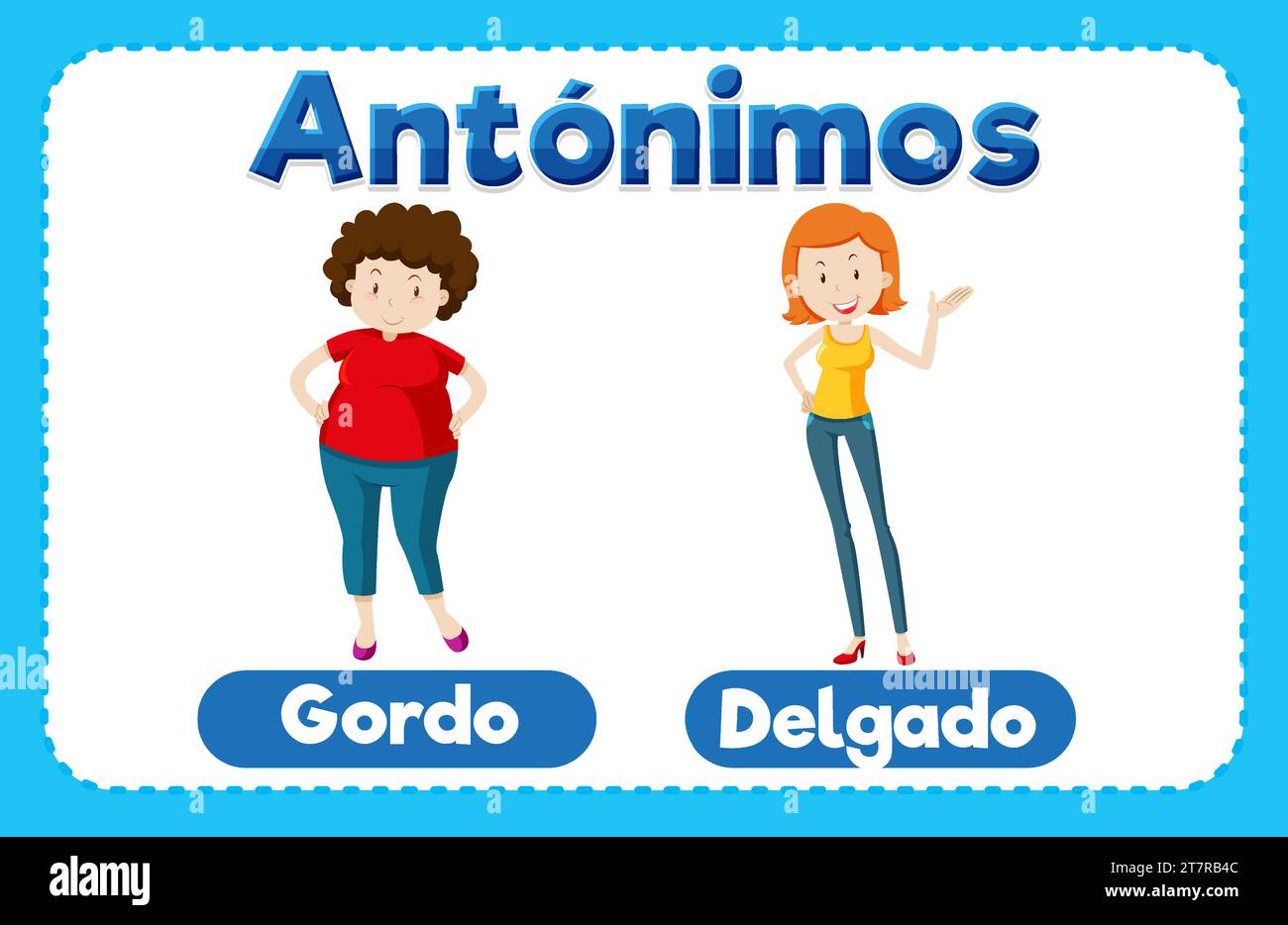 Illustrated picture word card teaching antonyms in Spanish means Fat