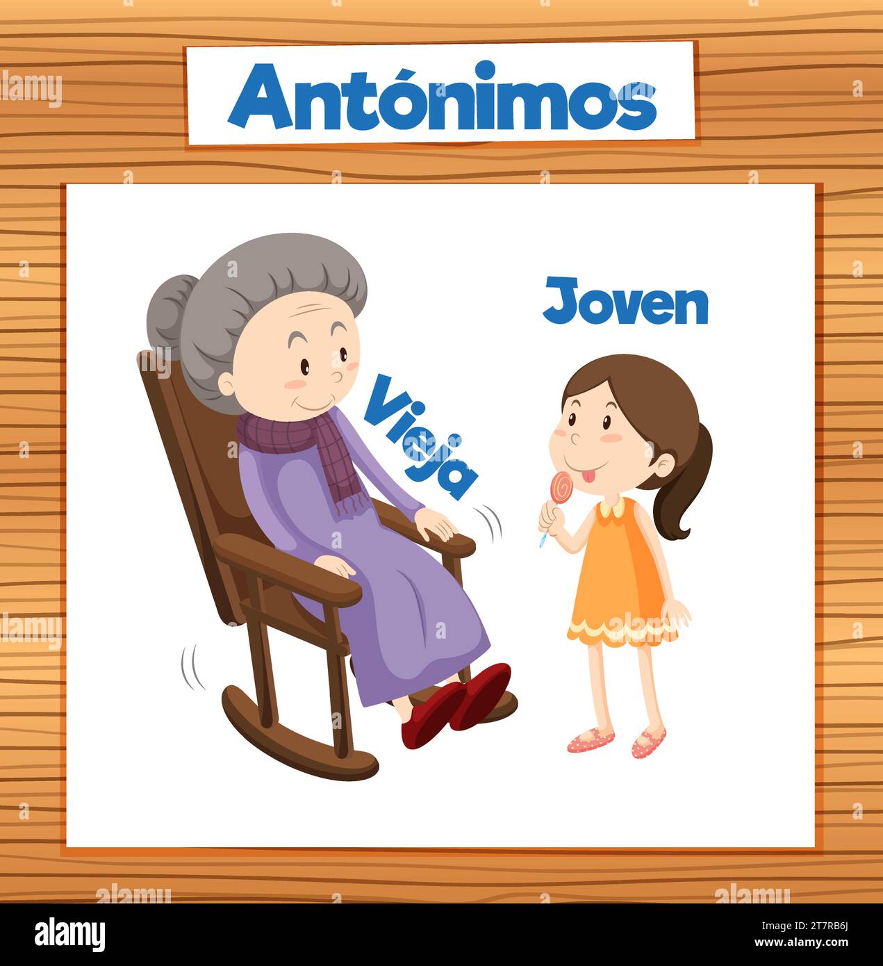 Colorful vector illustration of Spanish word card featuring antonyms Vieja and Joven means old and young Stock Vector