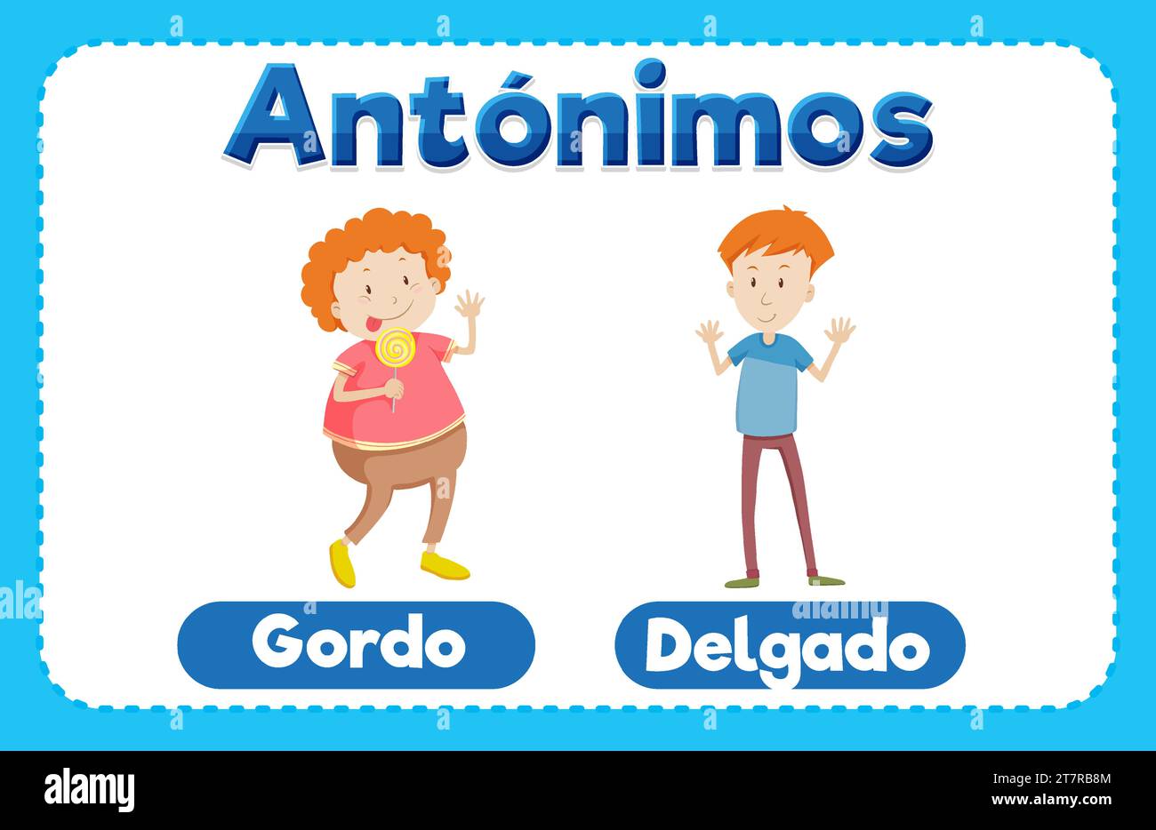Illustrated picture word card teaching antonyms in Spanish fat and slim