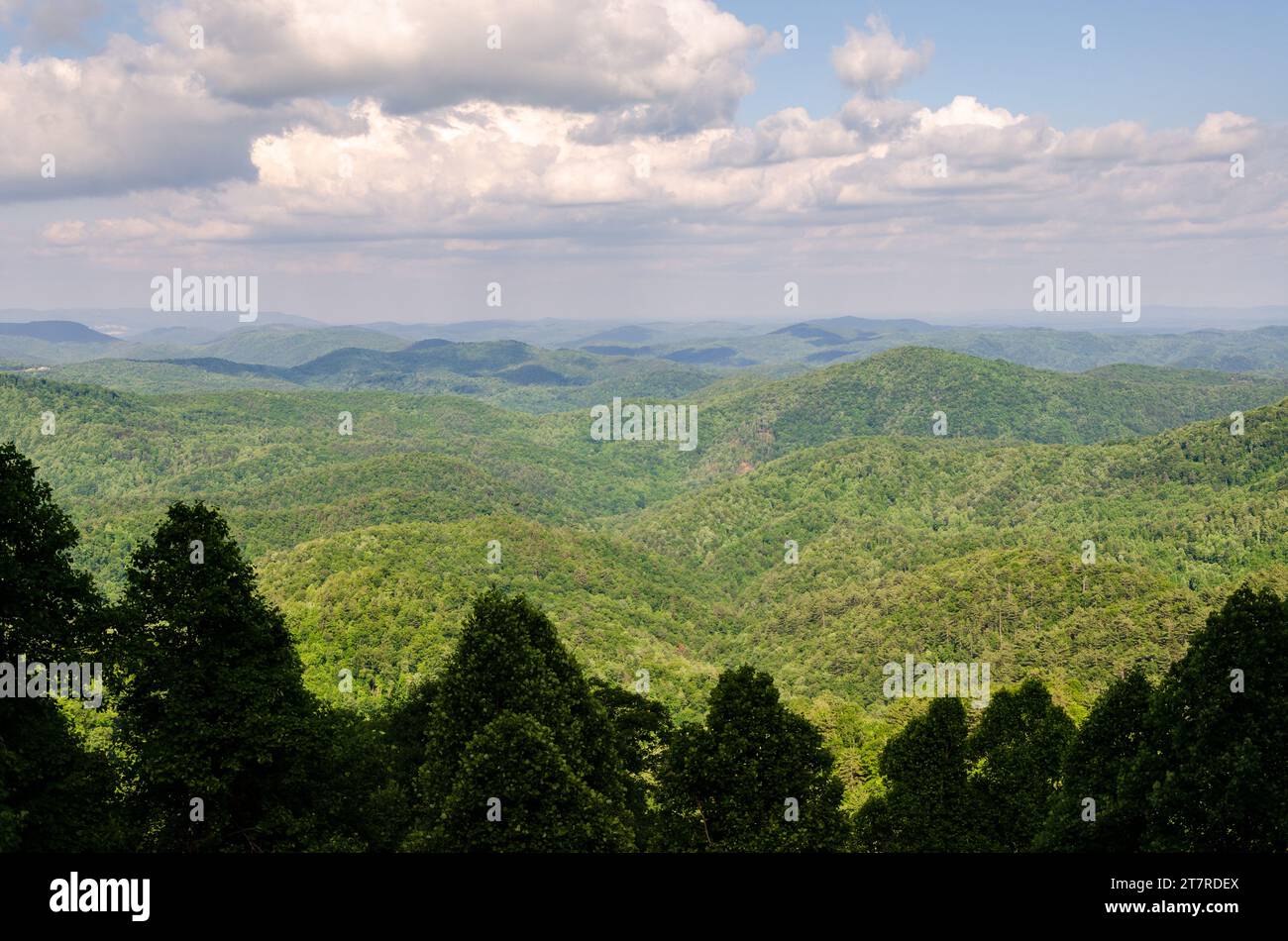The Blue Ridge Parkway, Famous Road linking Shenandoah National Park to