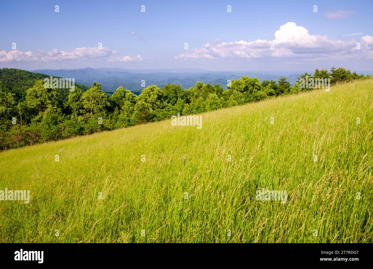 Blue Ridge Mountains Grasslands in the Blue Ridge Parkway Stock Photo