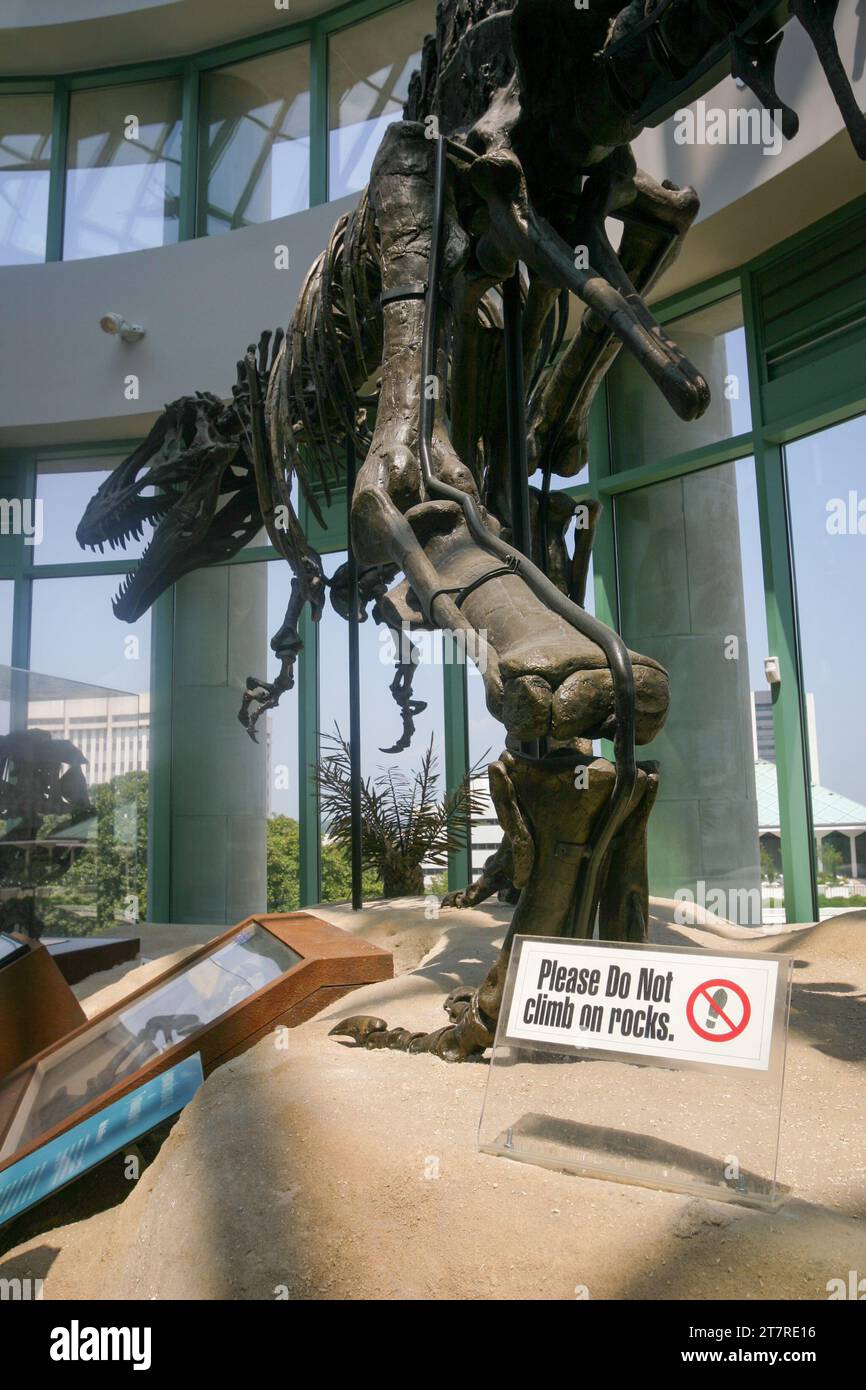 The North Carolina Museum Of Natural Sciences Stock Photo Alamy The north carolina museum of natural sciences stock photo alamy