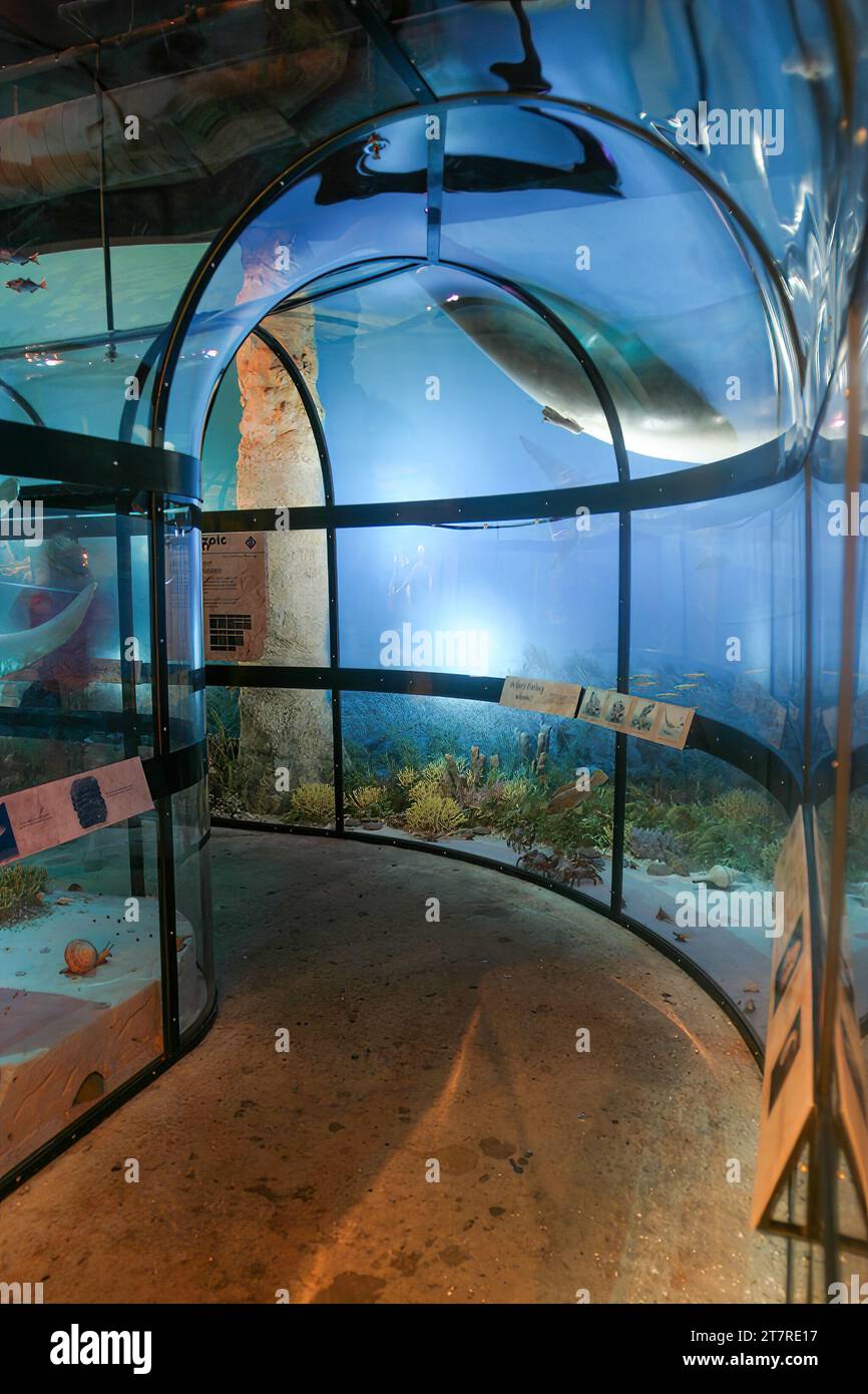The North Carolina Museum Of Natural Sciences Stock Photo Alamy The north carolina museum of natural sciences stock photo alamy