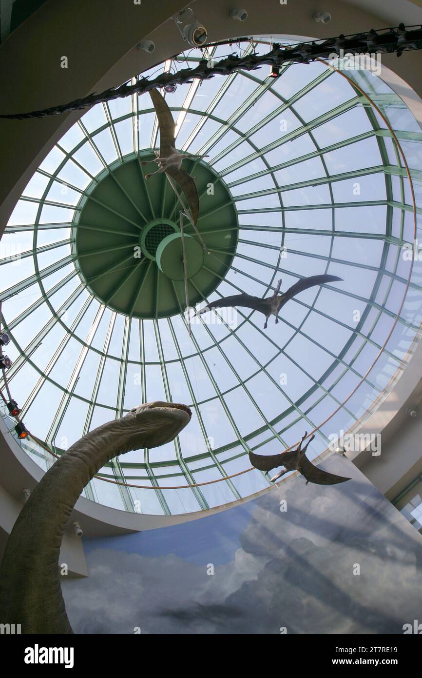 North Carolina Museum Of Natural Sciences