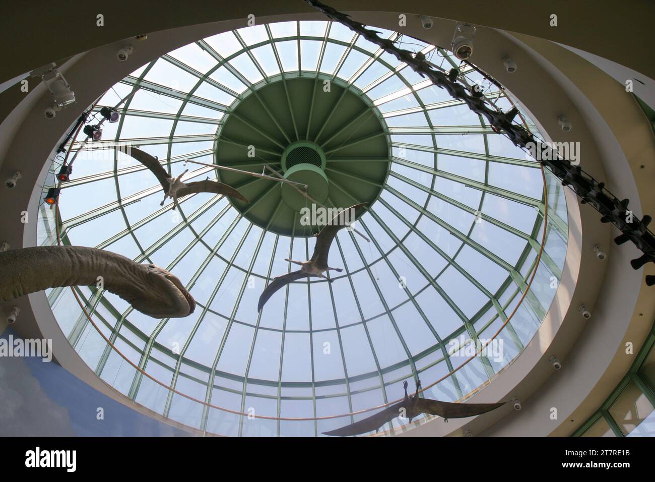 The north carolina museum of natural sciences stock photo alamy