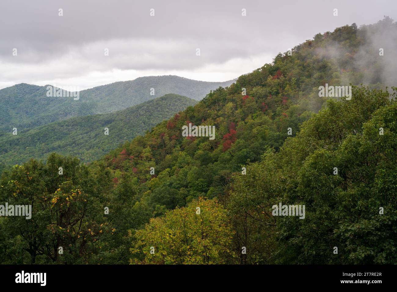 The Blue Ridge Parkway, Famous Road linking Shenandoah National Park to
