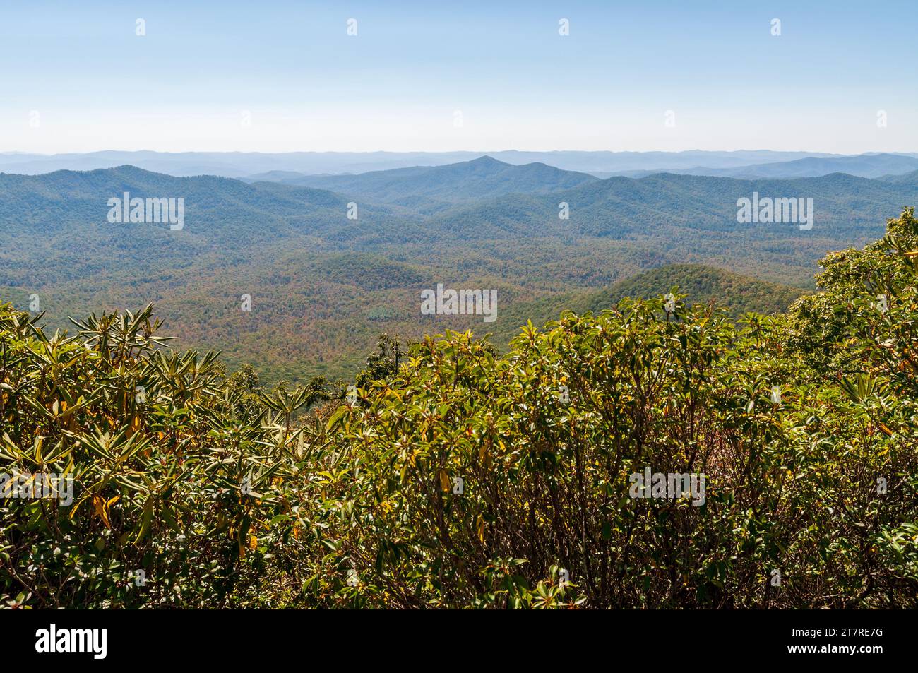 The Blue Ridge Parkway, Famous Road linking Shenandoah National Park to