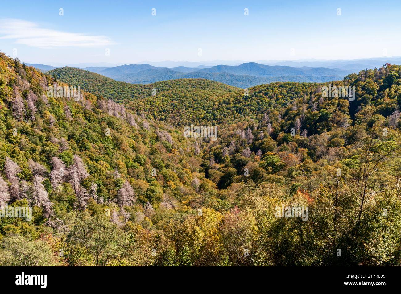 The Blue Ridge Parkway, Famous Road linking Shenandoah National Park to