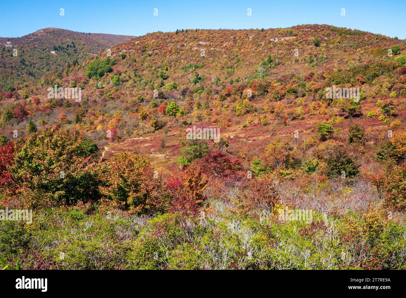 Fall Foliage at the Blue Ridge Parkway Stock Photo Alamy