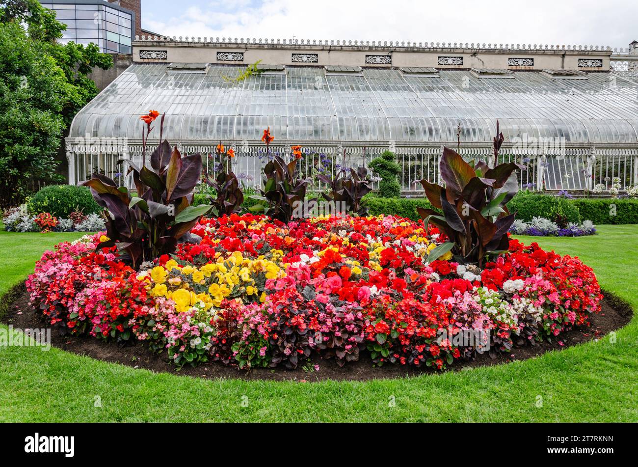 Belfast, County Down, Northern Ireland August 24 2023 - Colourful flower bed in front of the Palm House in Botanic Gardens Belfast Stock Photo
