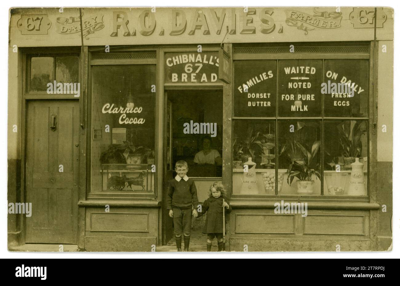 Original postcard of a smiling boy and his brother (who holds a toy rifle) standing outside his parent's shop above him is a sign for R O Davies Dairy Farmer. The shop sells mainly dairy produce and the shop window is advertising Dorset Butter, pure milk and eggs and that 'families are waited on daily'. Circa 1915 from lady shopkeeper's hairstyle. There is an advert for Chibnall's Bread above the door. Chibnall's bakery was a  London company. U.K. Stock Photo
