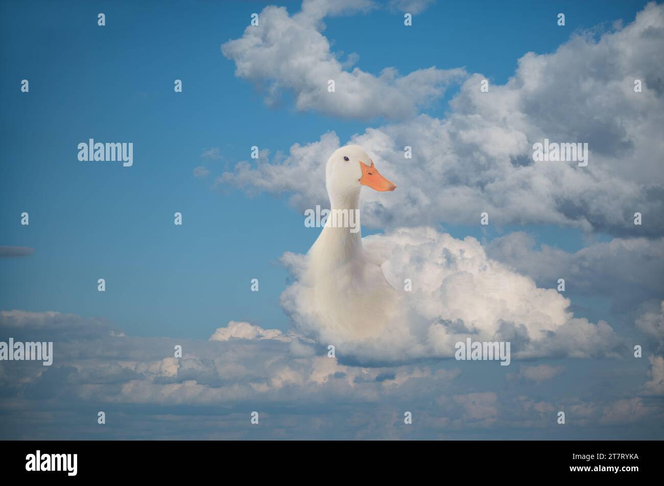duck floating on the clouds figurative plot against the blue sky Stock Photo