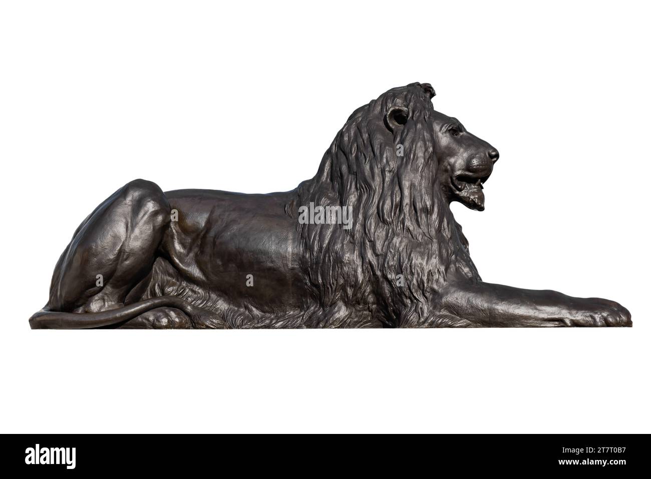 One of the four lions in Trafalgar Square, surrounding Nelson's Column, are commonly known as the ‘Landseer Lions’  isolated on white background Stock Photo