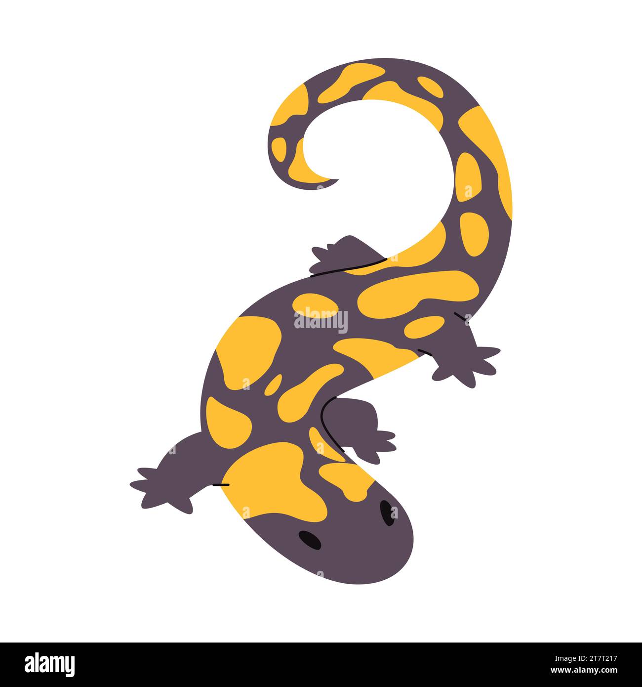 Big spotted salamander Stock Vector Images - Alamy