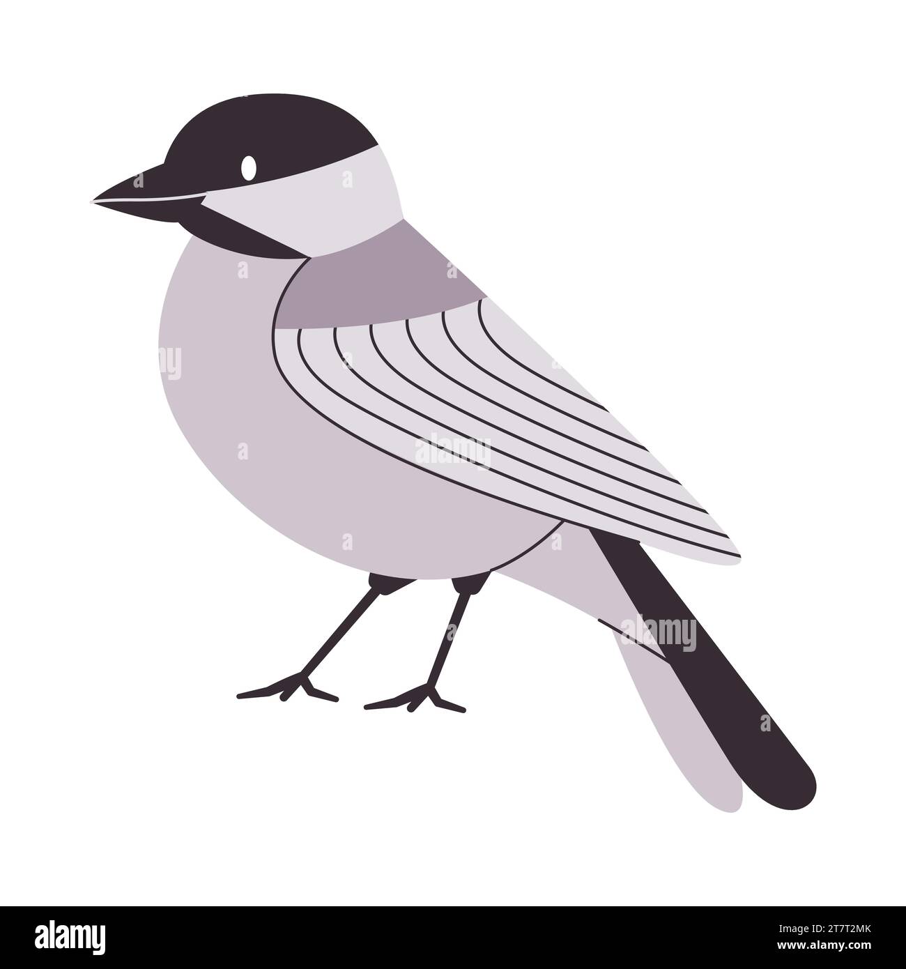 North american bird species Stock Vector Images - Alamy
