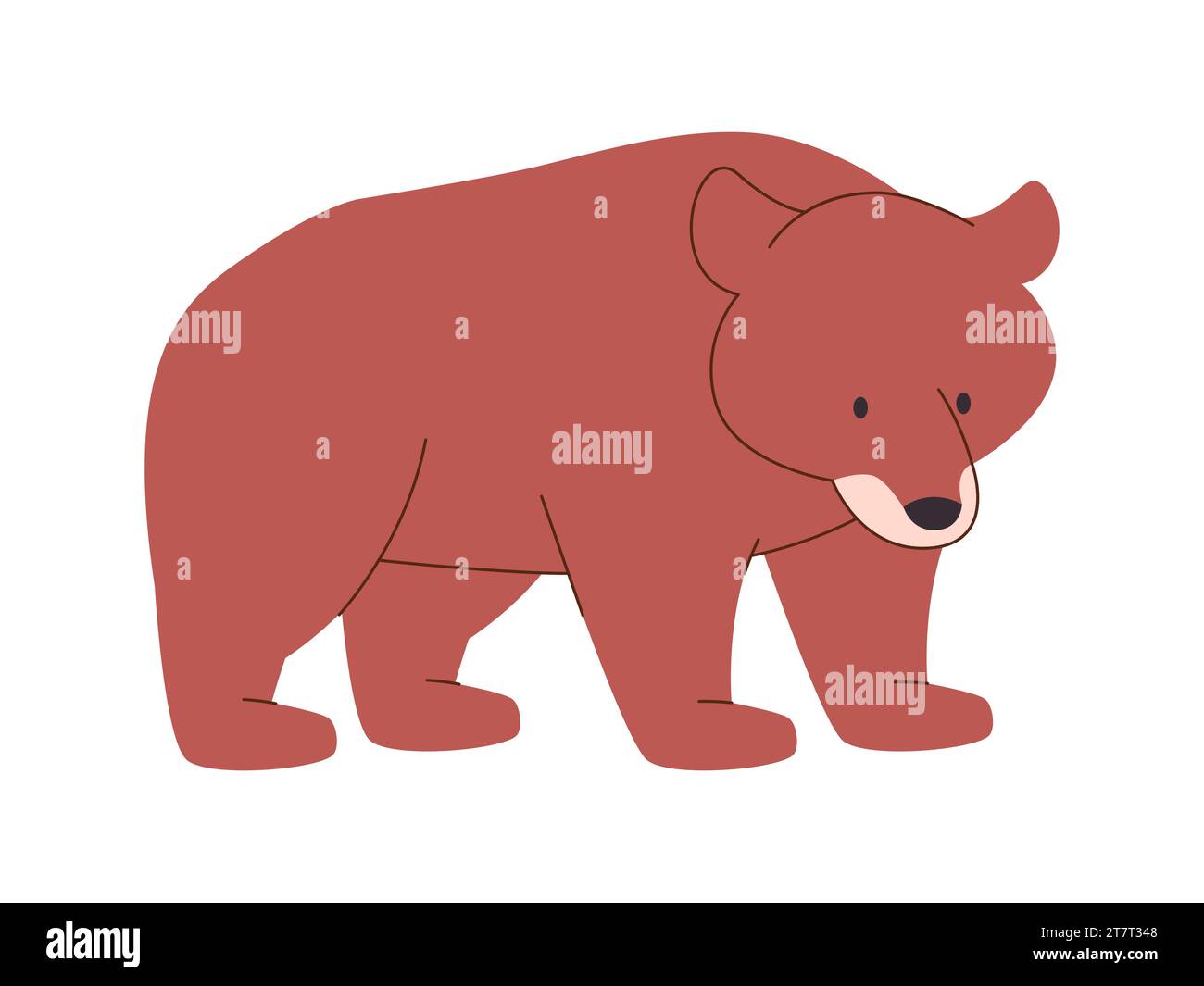brown color grizzly bear wild nature animal dangerous big strong carnivore predator live in north american Stock Vector