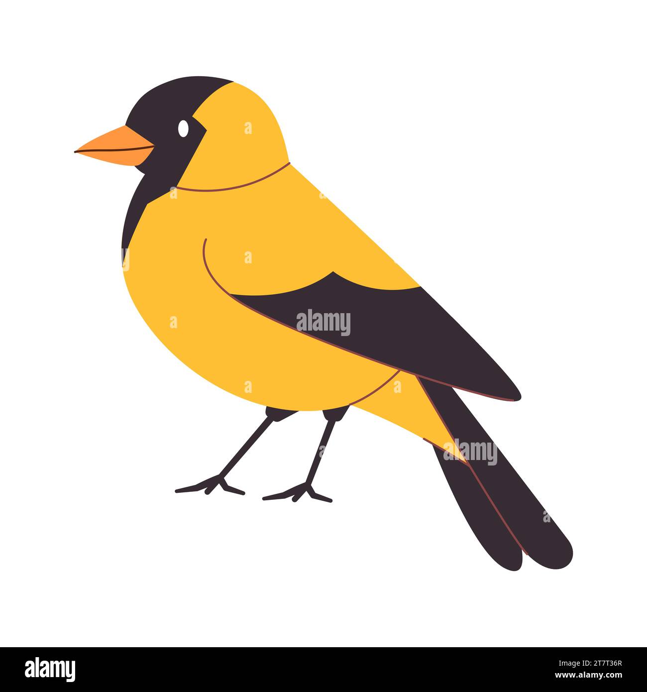yellow and black color american goldfinch bird small cute beautiful species wild nature animal flying freedom Stock Vector