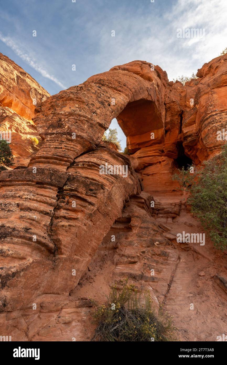 Elephant Arch, in Red Cliffs Desert Reserve, near Washington, Utah. Stock Photo