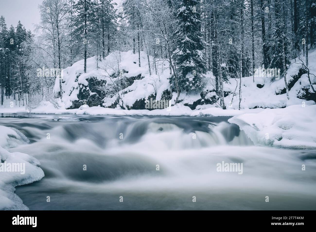 Finland landscape forest frozen hi-res stock photography and images - Alamy