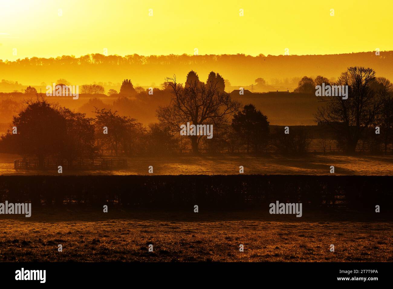 Whatton-in-the-Vale, Nottinghamshire, UK. 17th November 2023.  The sun rises over the Vale of Belvoir viewed from Whatton-in-the-Vale, Nottinghamshire. Neil Squires/Alamy Live News Stock Photo