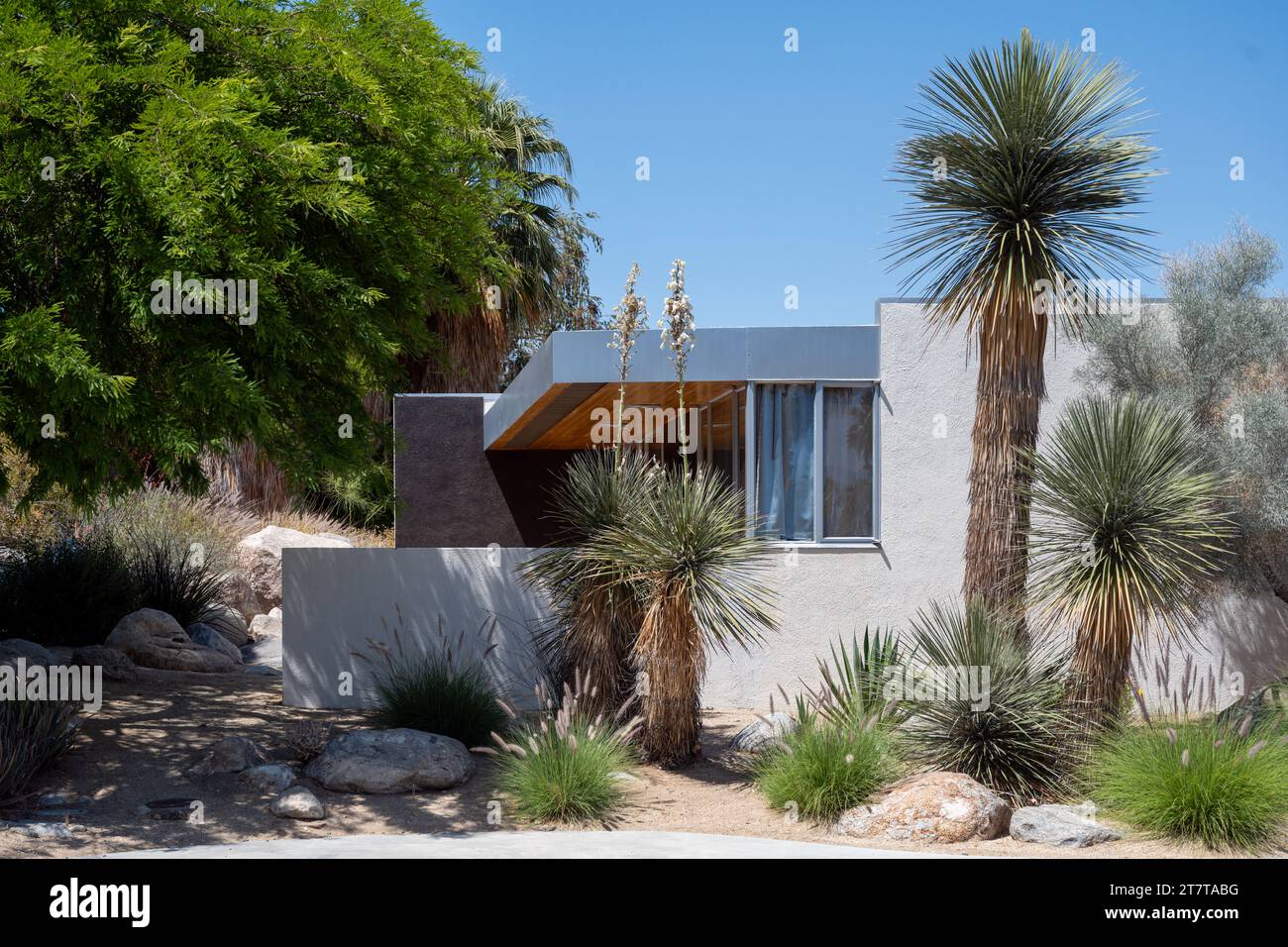 Palm Springs, California - May 12, 2023: Kaufmann Desert House with cactus in Palm Springs, California Stock Photo