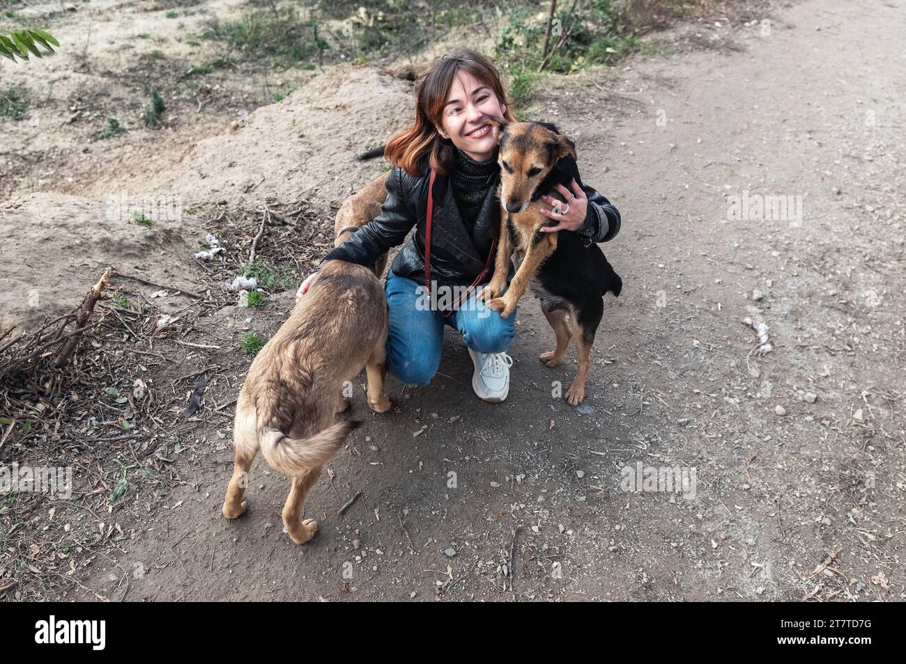 Dogs Getting Help Dog at the shelter. Animal shelter volunteer takes care of dogs. Animal ...