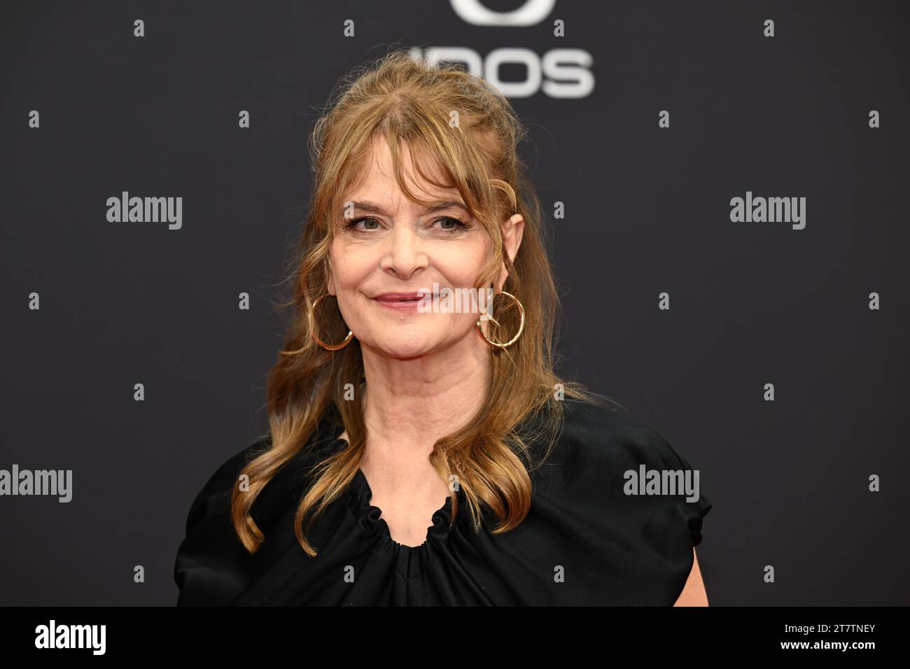 Film awards ceremony red carpet hi-res stock photography and images - Page  11 - Alamy