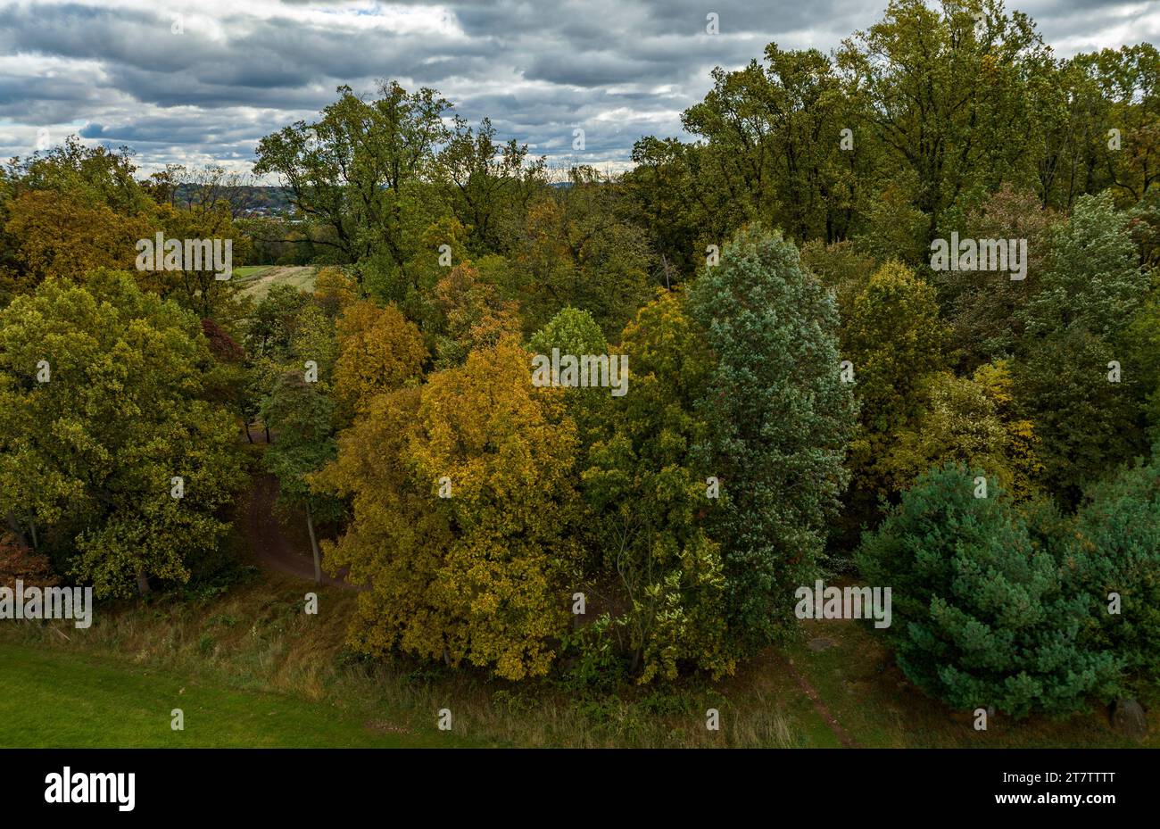 Aerial flight overhead autumn tree hi-res stock photography and images ...