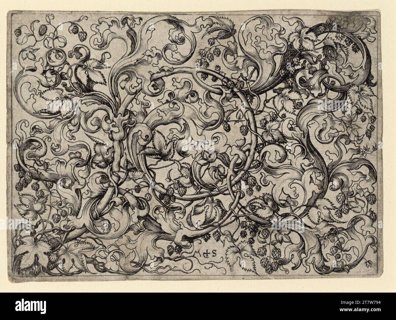 Martin Schongauer Horizontal ornament with hop tendrils. Copper engraving print letztes Drittel des 15. Centurys Stock Photo