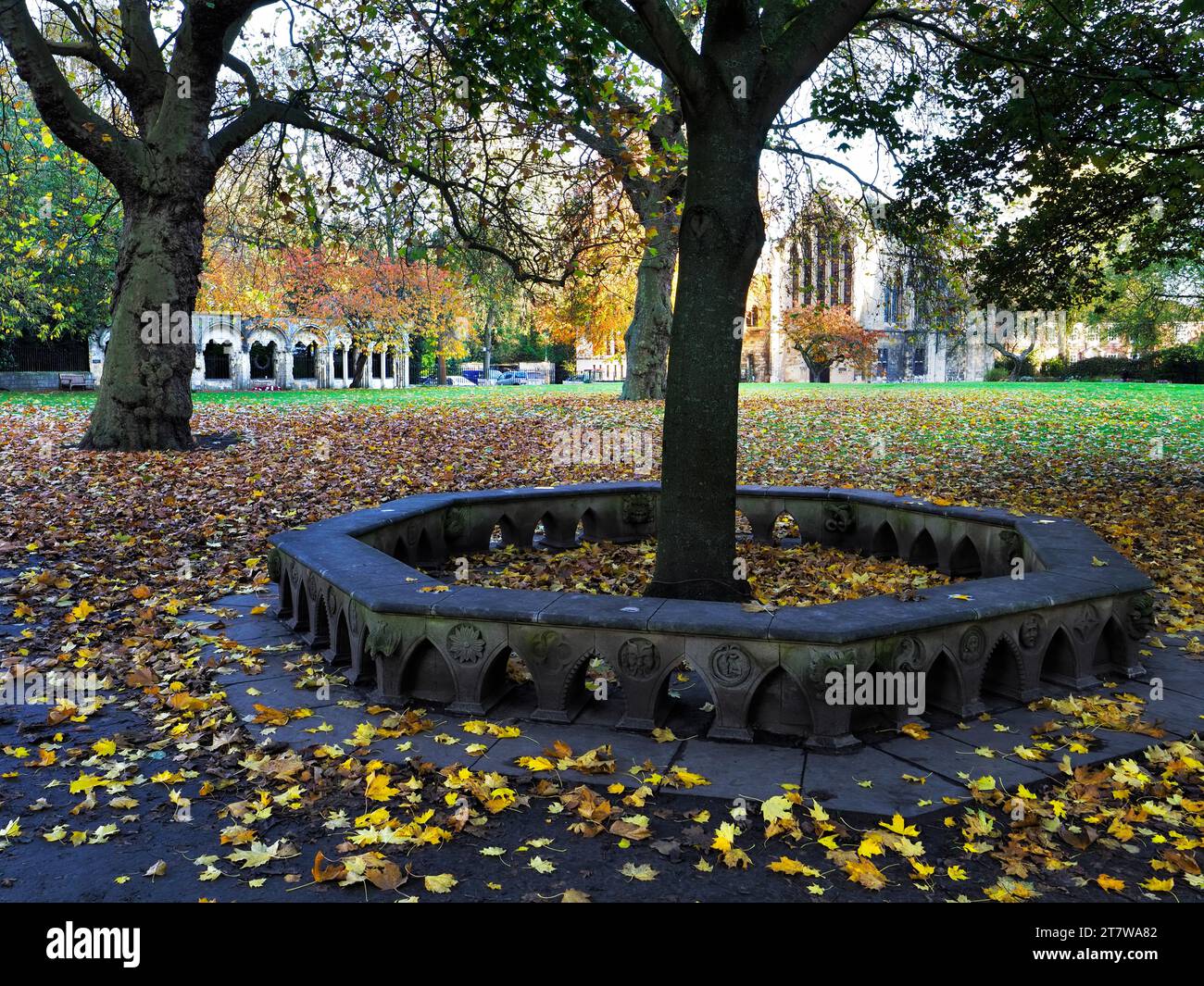 Deans Park in autumn with Minster Library behind City of York Yorkshire England Stock Photo