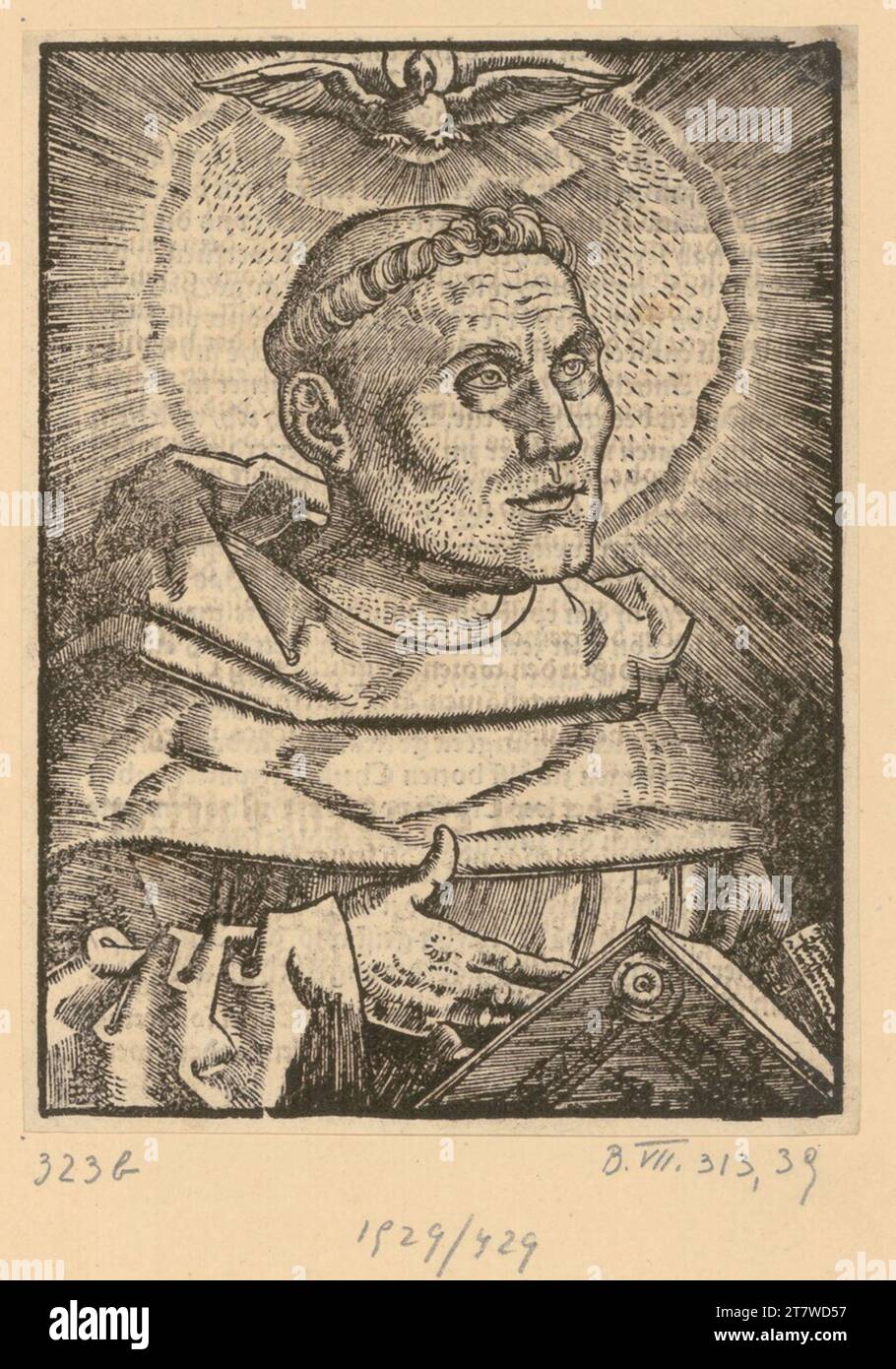 Hans Baldung gen. Grien Martin Luther as Augustinermönch. Woodcut Stock Photo