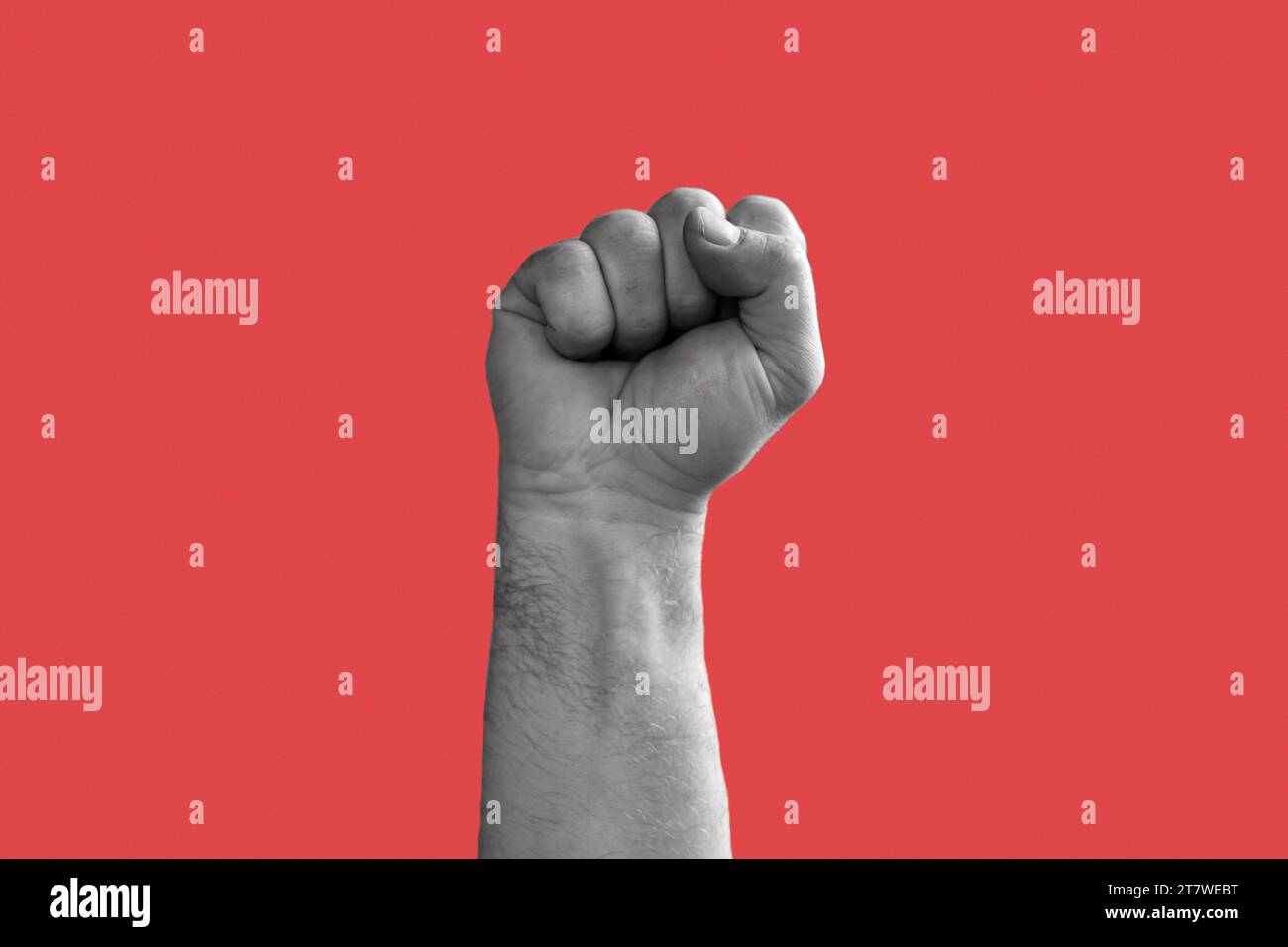 Black and White Man Hand with Raised Fist isolated on Red Background. Male Clenched Closed Fist