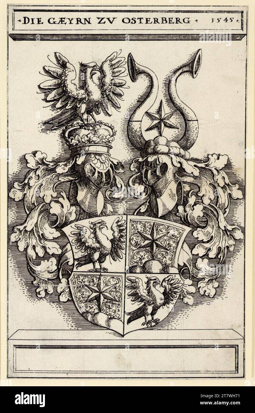 Augustin Hirschvogel Coat of arms of the vultures of Osterberg. etching