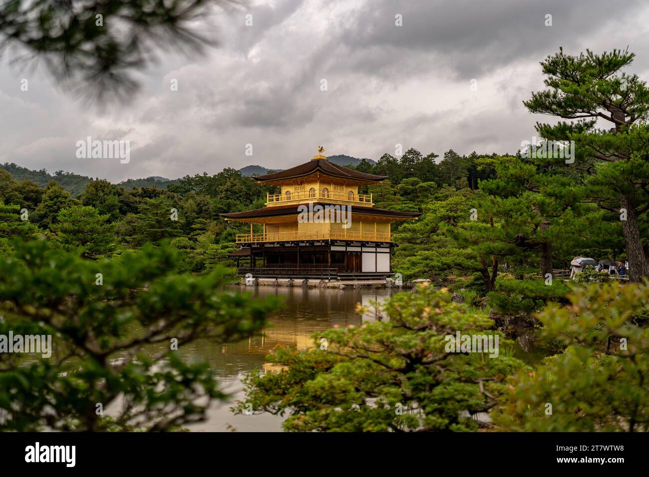 Kinkakuji reflects on a tranquil pond, surrounded by lush greenery under a cloudy sky. Stock Photo