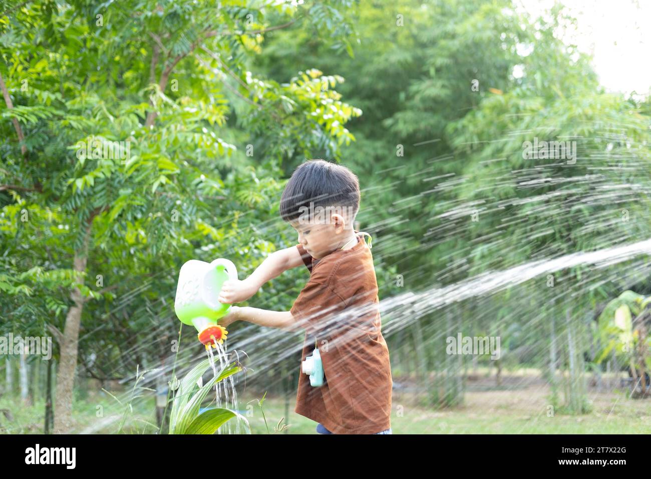 Boy watering plants hi-res stock photography and images - Alamy