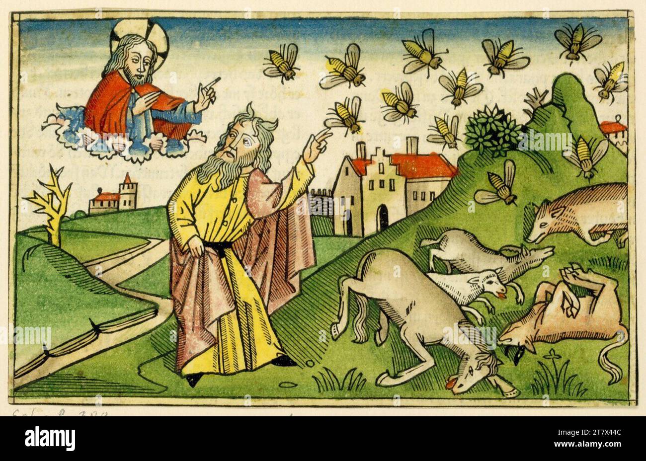 Anton Koberger The plague of the flies. Woodcut, colored 1479-1483 , 1479/1483 Stock Photo