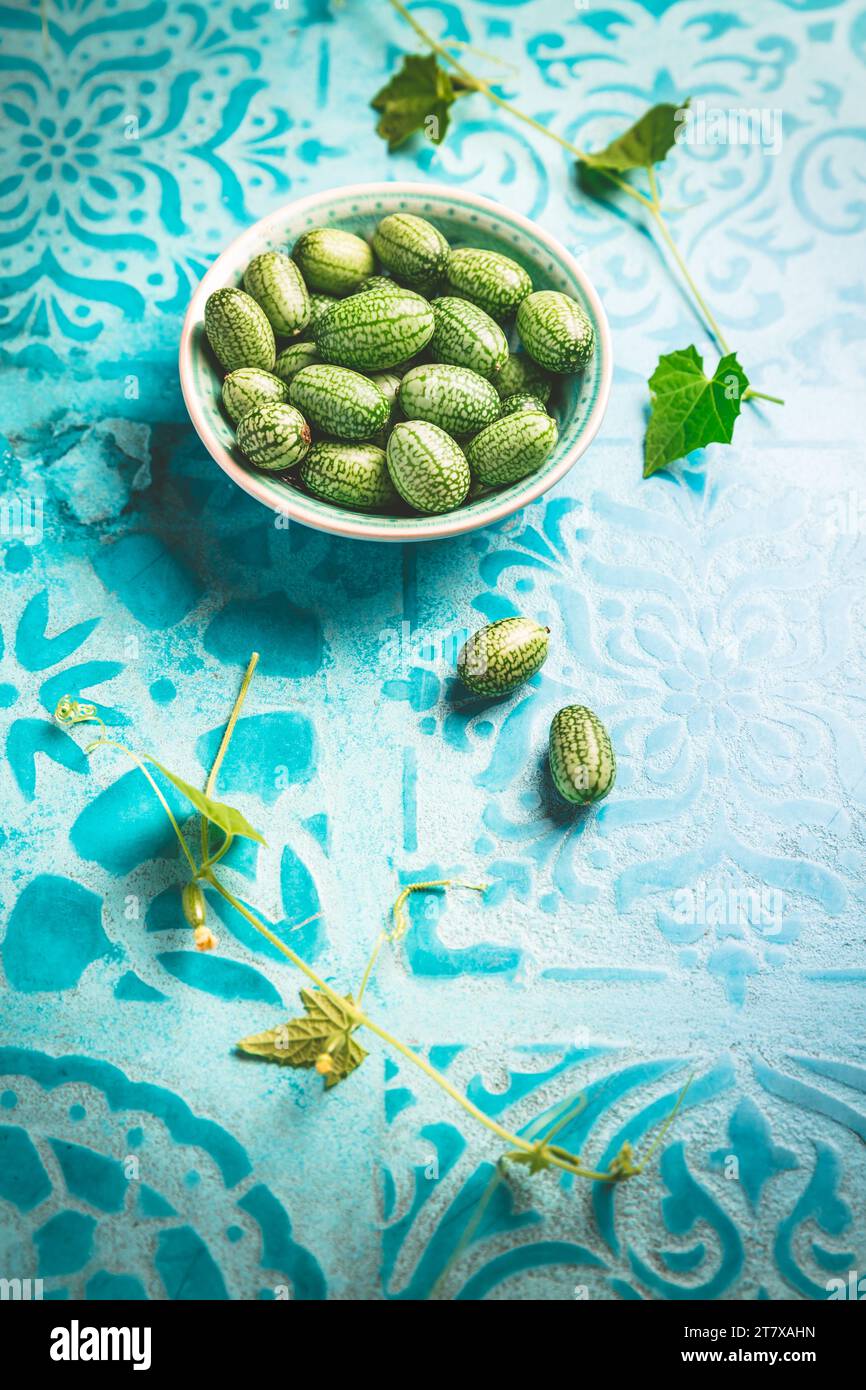 Cucamelon (Melothria scabra) - Mexican sour cucumber, pepquinos. Edible vegetables with high level of potassium and Vitamin C Stock Photo