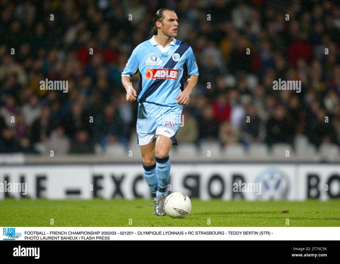 Bertin teddy hires stock photography and images Alamy