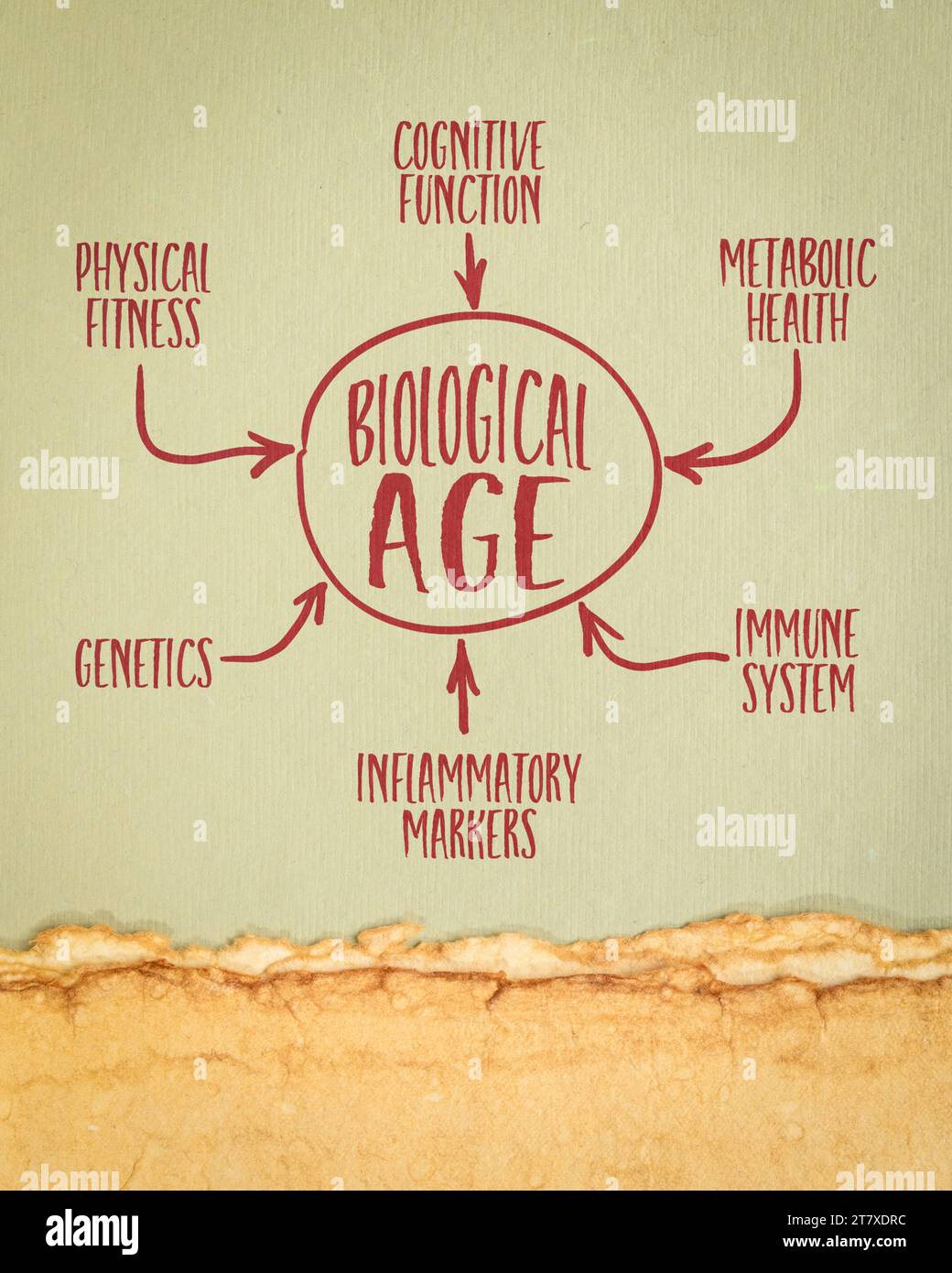 how to get into deep work state