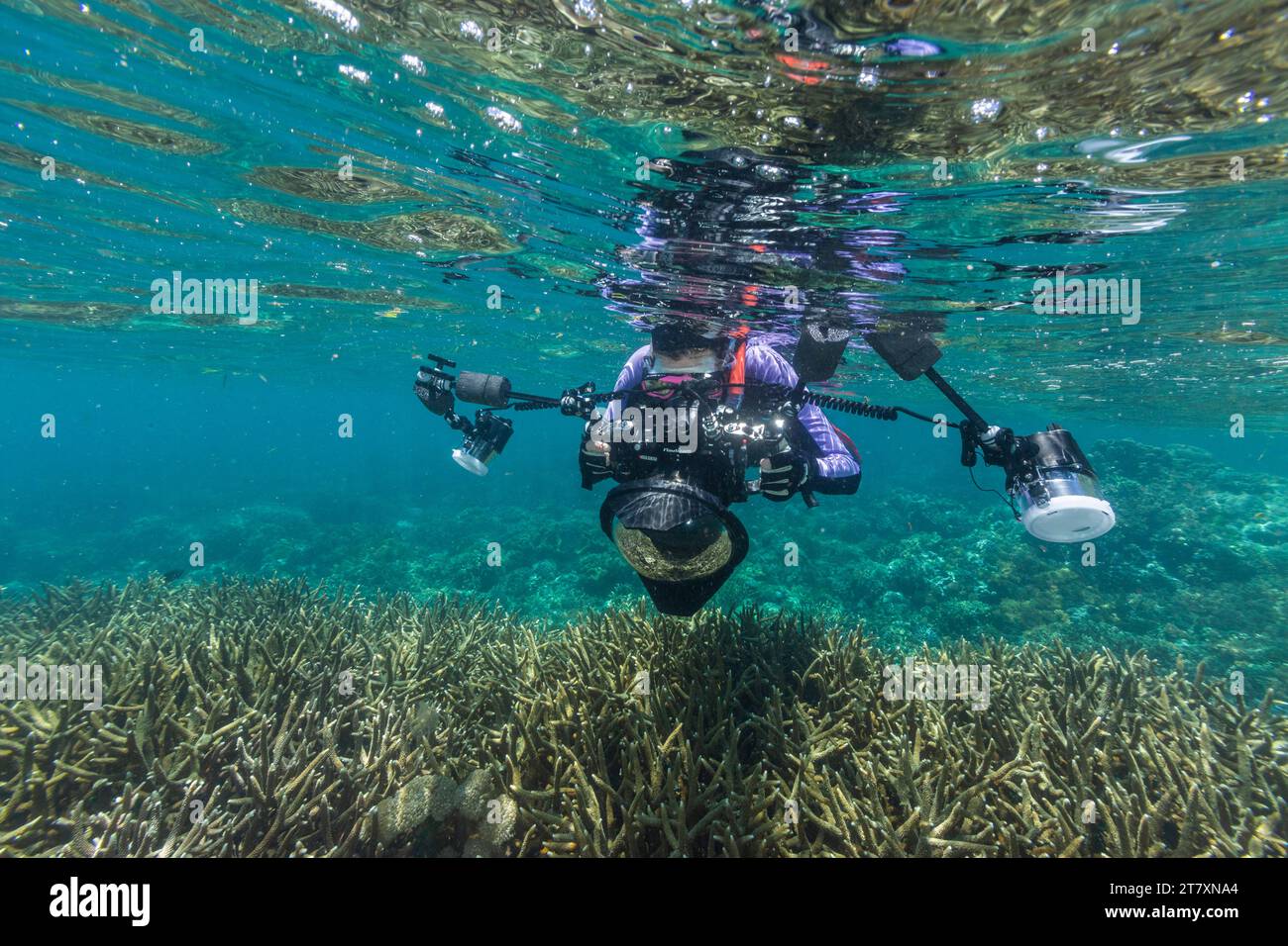 Underwater photographer in crystal clear water in the shallow reefs off Bangka Island, off the northeastern tip of Sulawesi, Indonesia, Southeast Asia Stock Photo