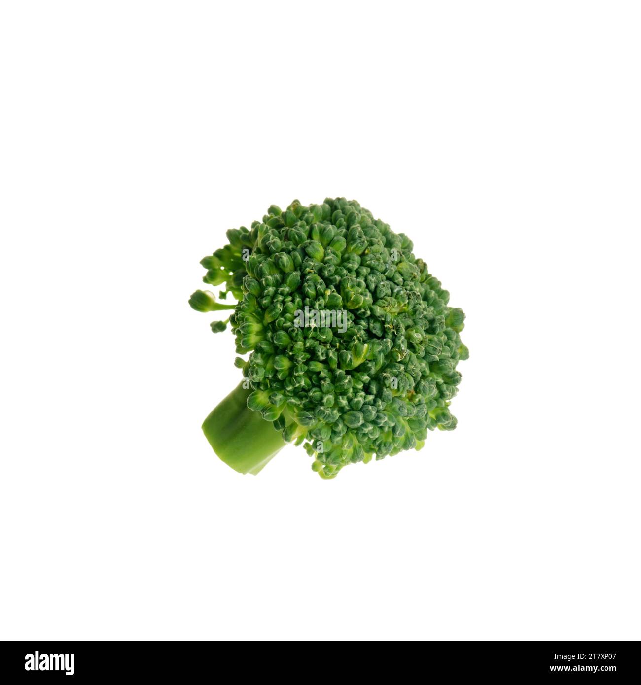 Broccoli fresh blocks for cooking isolated on white background. Square image. Stock Photo