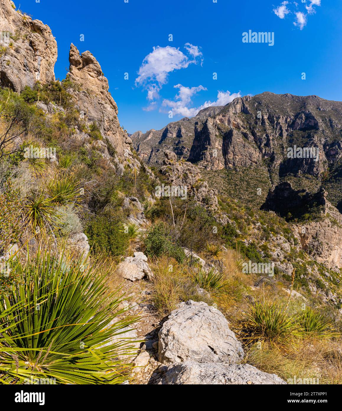 The Guadalupe Mountain Range Above - The Guadalupe Mountain Range Above Mckittrick Canyon On The Notch Trail Mckittrick Canyon Guadalupe Mountains National Park Texas Usa 2T7XPP1 