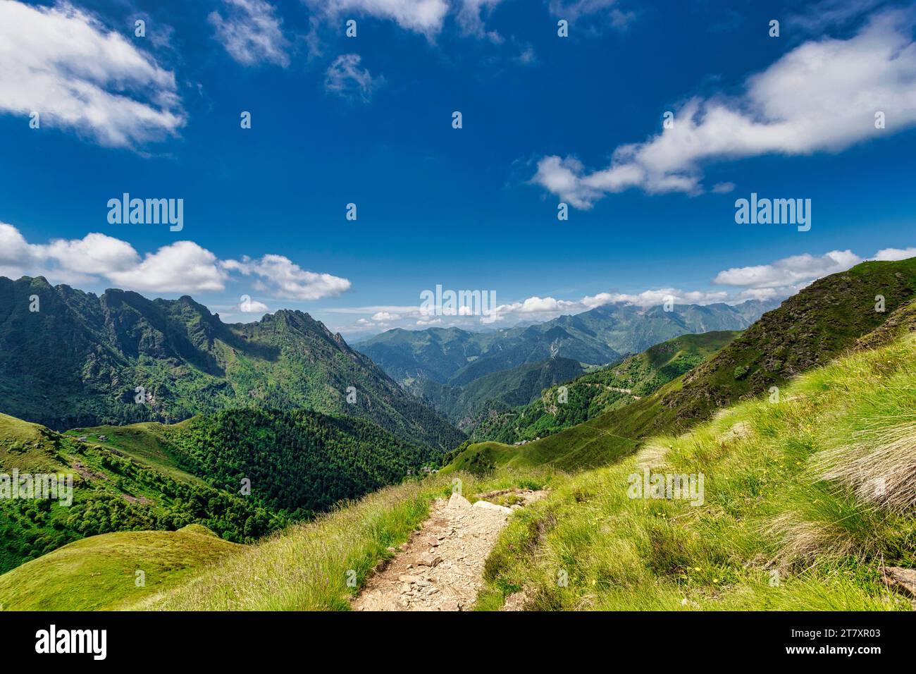The bucolic landscape of Val Mastellone in summer, Rimella, Valsesia, Vercelli district, Piedmont, Italy, Europe Stock Photo