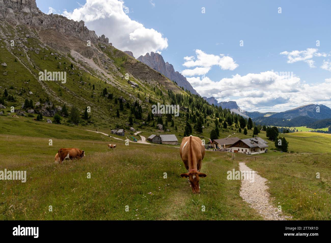 Natural Park Puez-Odle, Val di Funes, Bolzano district, Sudtirol (South Tyrol), Italy, Europe Stock Photo