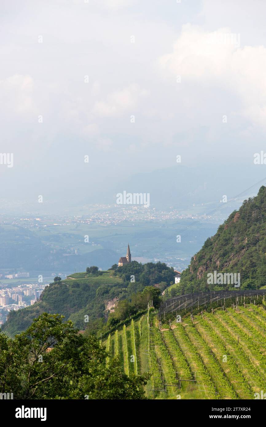 Bozen district, Sudtirol (South Tyrol), Italy, Europe Stock Photo