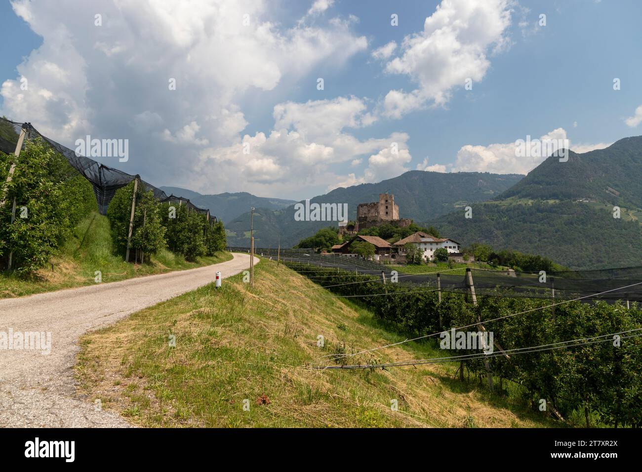 Castel Rafenstein, Bozen district, Sudtirol (South Tyrol), Italy, Europe Stock Photo
