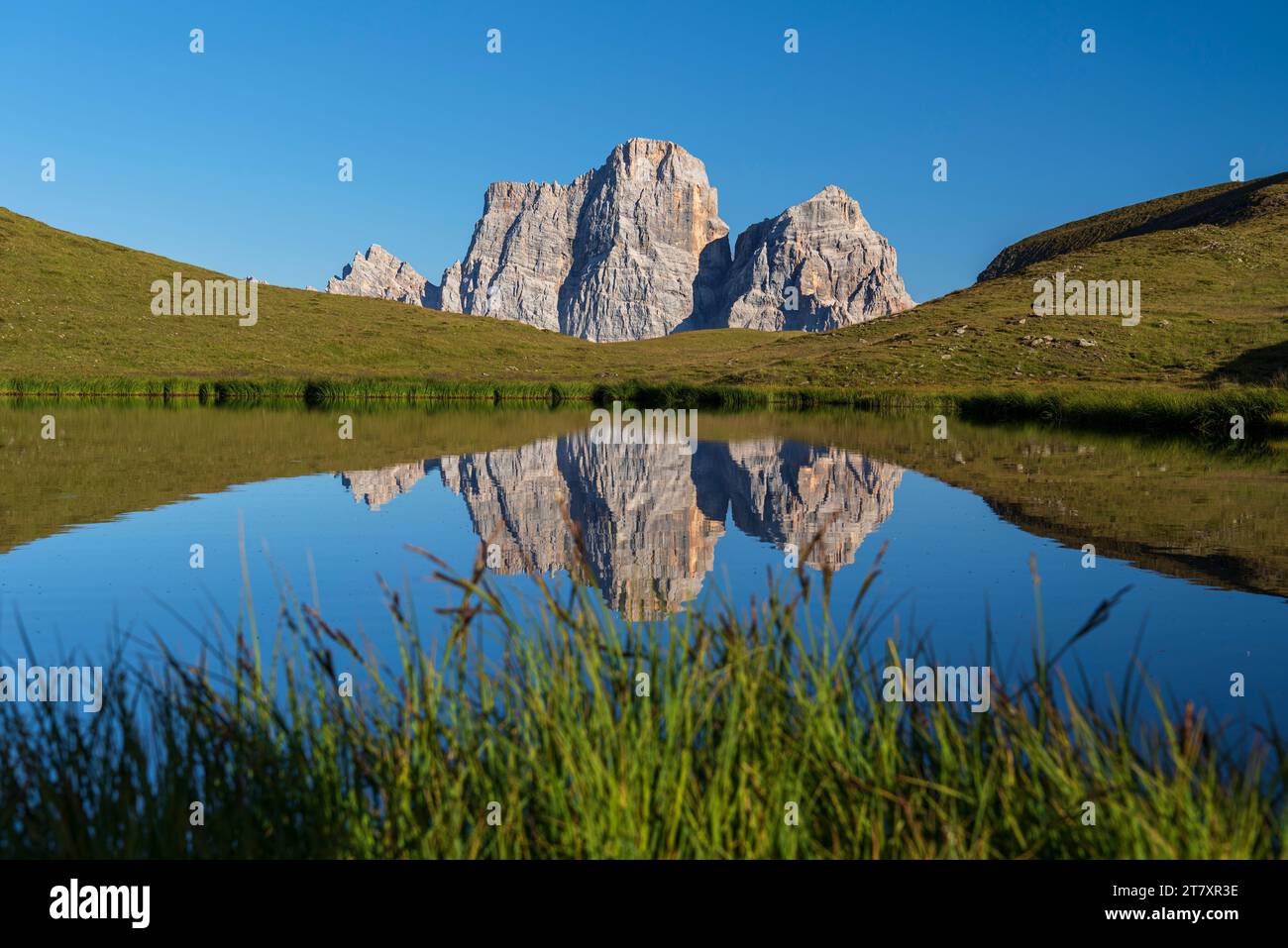 Baste hi-res stock photography and images - Alamy