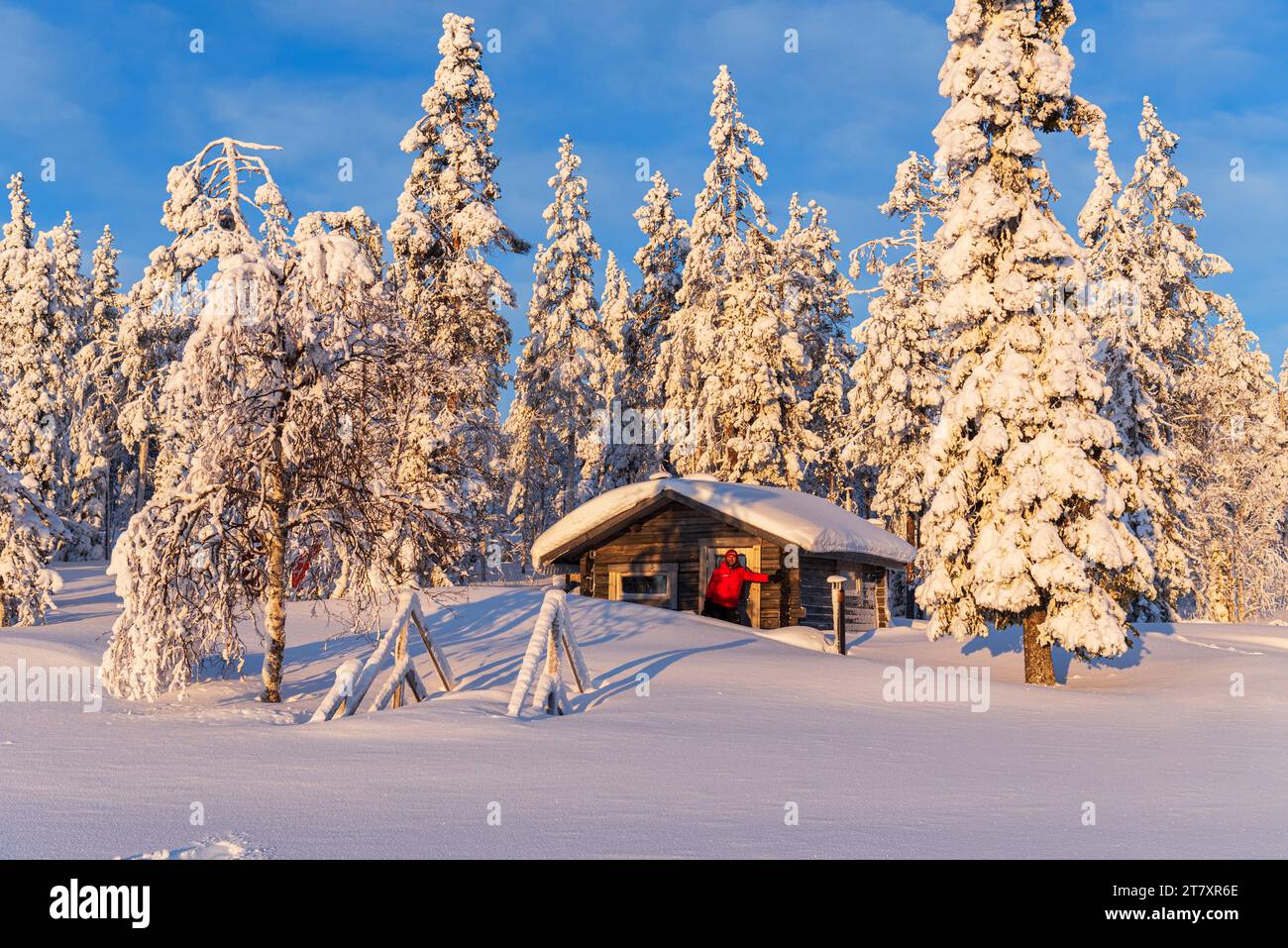 Tourist in the early morning sun stands in front of an isolated chalet in the snowy forest, Norrbotten, Swedish Lapland, Sweden, Scandinavia, Europe Stock Photo